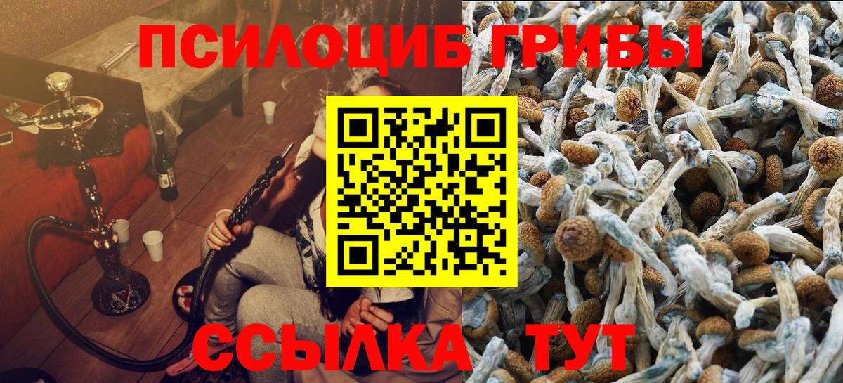 Галлюциногенные грибы Psilocybine cubensis Биробиджан