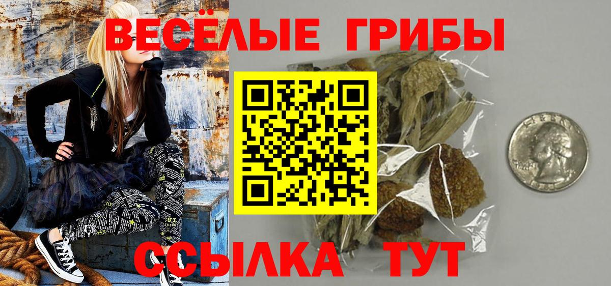 Галлюциногенные грибы Cubensis  Псилоцибиновые грибы Psilocybe  Вход с VPN  Биробиджан 